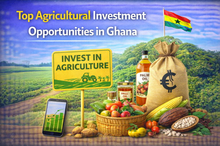 Top Agricultural Investment Opportunities in Ghana in 2026