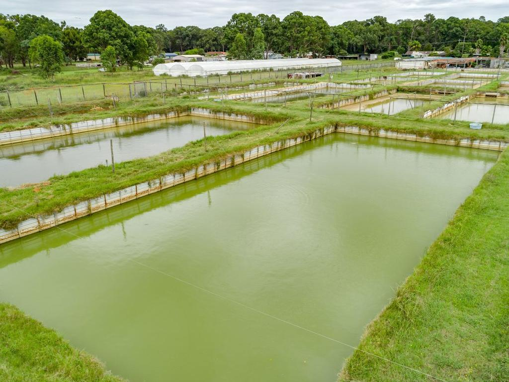 Types of Fish Farming in Nigeria